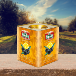 Nursan Süper 2 Gemlik Zeytin 10 kg Nursan Süper 2 Gemlik Zeytin 10 kg