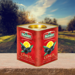 Nursan Mega Gemlik Zeytin 10 kg Nursan Mega Gemlik Zeytin 10 kg