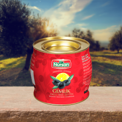 Özel Özel Gemlik Yağlı Sele 2 kg Özel Özel Gemlik Yağlı Sele 2 kg