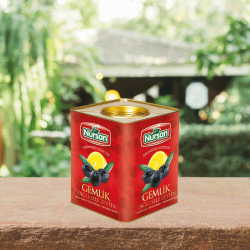 Nursan Hususi Gemlik Zeytin 4 kg Nursan Hususi Gemlik Zeytin 4 kg