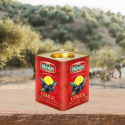 Nursan Özel Özel Gemlik Zeytin 4 kg Nursan Özel Özel Gemlik Zeytin 4 kg