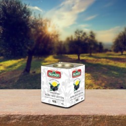Nursan Dalından İri Kuru Gemlik Sele 4 kg Nursan Dalından İri Kuru Gemlik Sele 4 kg