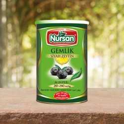 Az Tuzlu Gemlik Doze Süper 800 gr Az Tuzlu Gemlik Doze Süper 800 gr