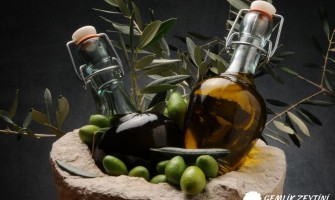 Gemlik Zeytini ve Zeytinyağının Geleneksel Tıpta Kullanımı