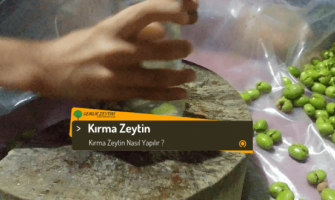 Gemlik Zeytini Kırık (Kırma) Zeytin Nasıl Yapılır?
