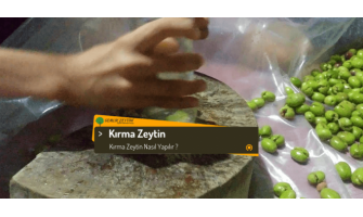 Gemlik Zeytini Kırık (Kırma) Zeytin Nasıl Yapılır?